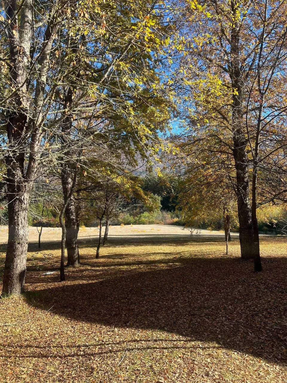 El parque en otoño
