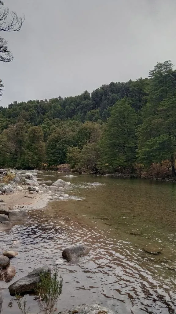 La ribera y el bosque junto al río
