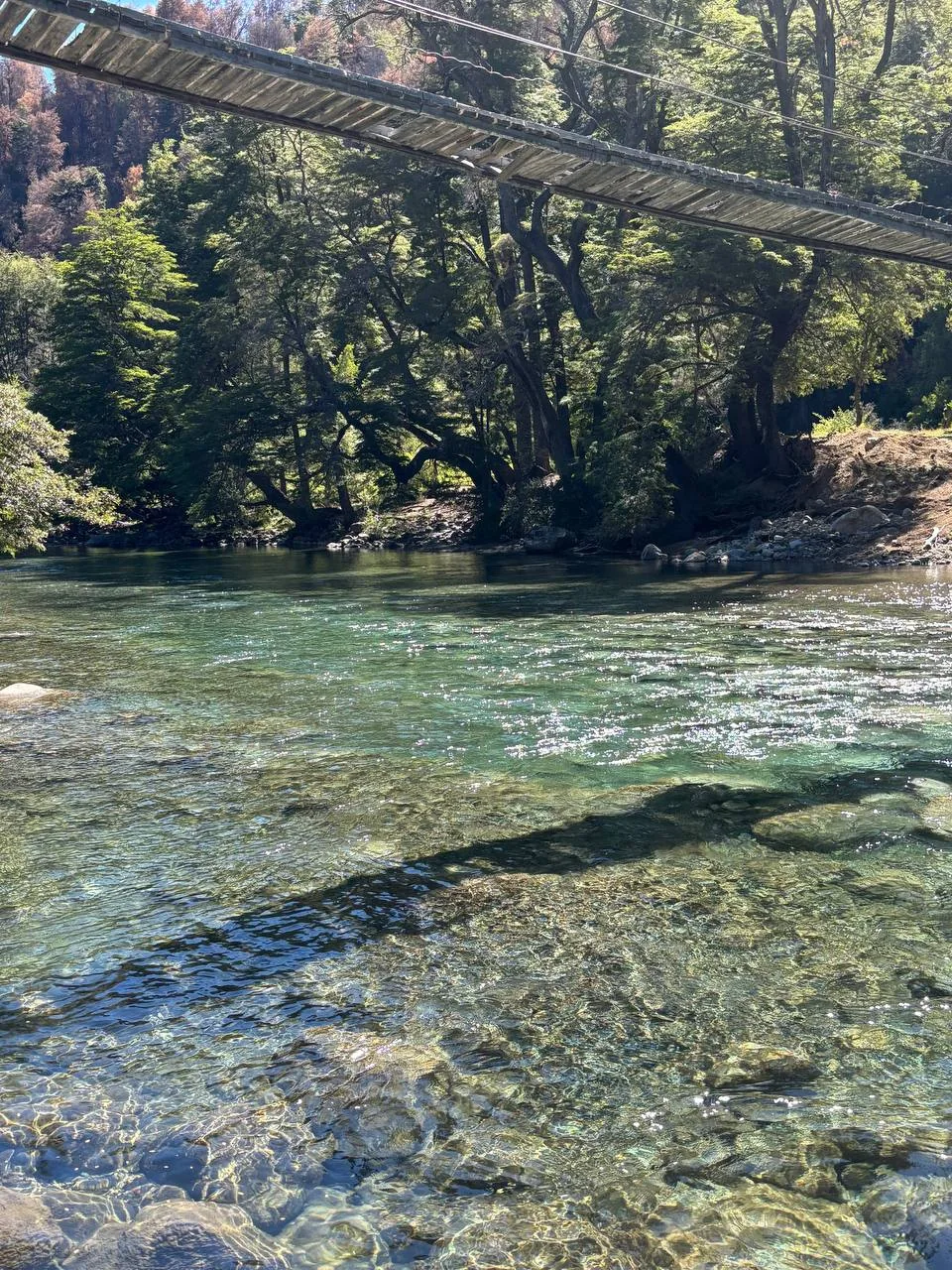 El Río Azul y el puente colgante