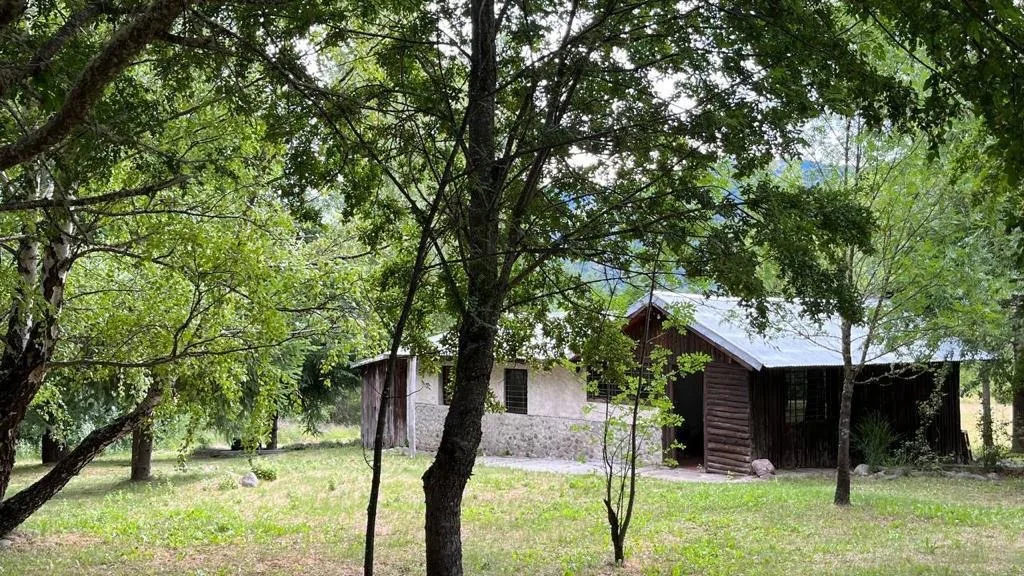 La segunda residencia entre los árboles