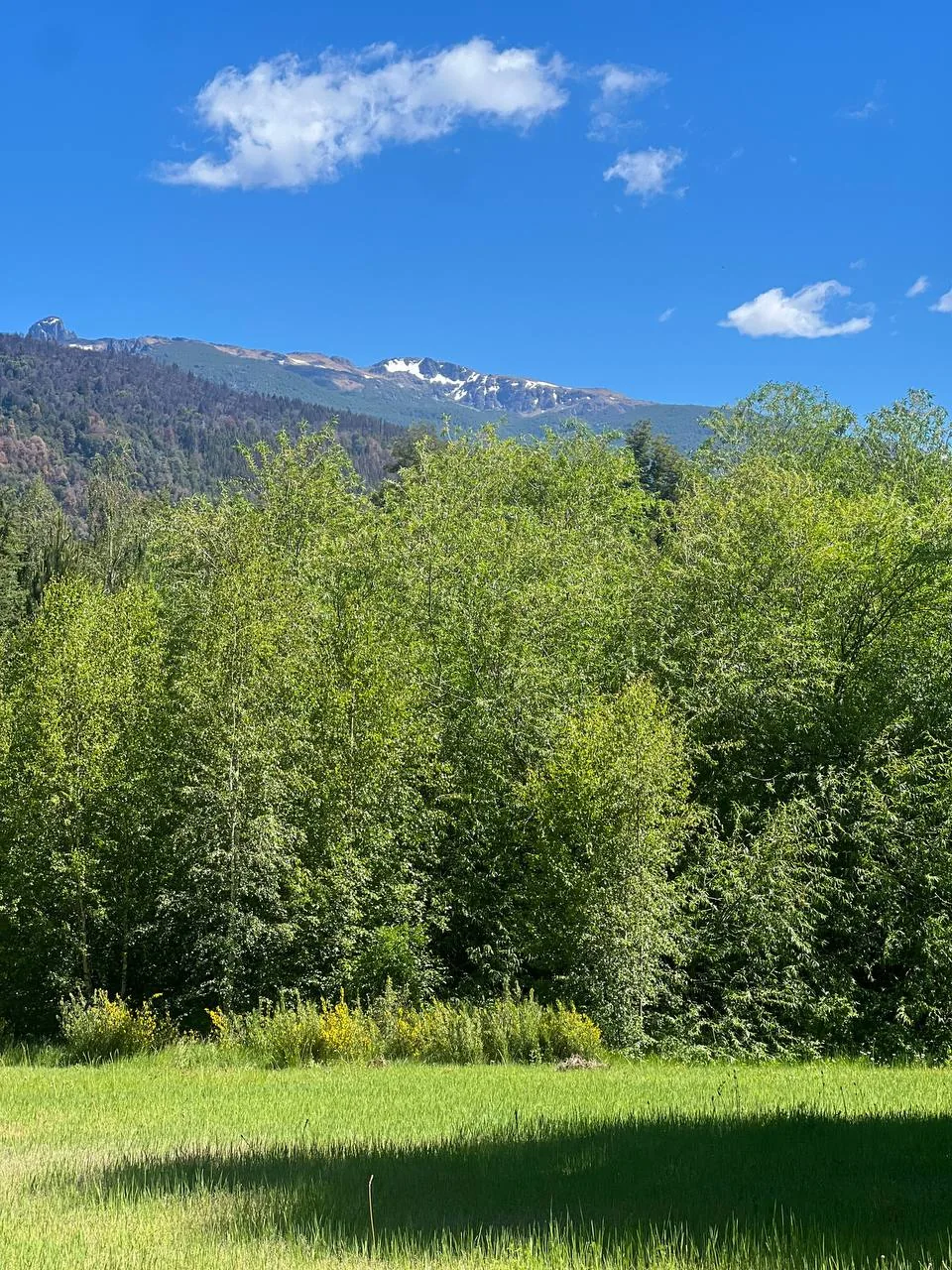 Las montañas desde la chacra
