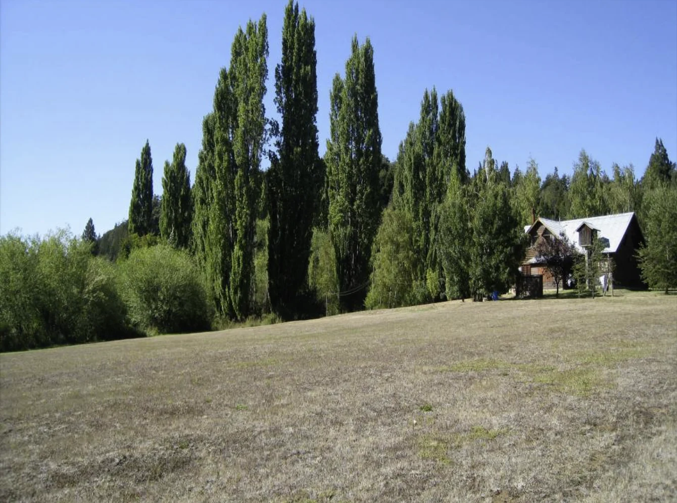 El espacio abierto de la chacra, rodeado de álamos, con las casas al fondo