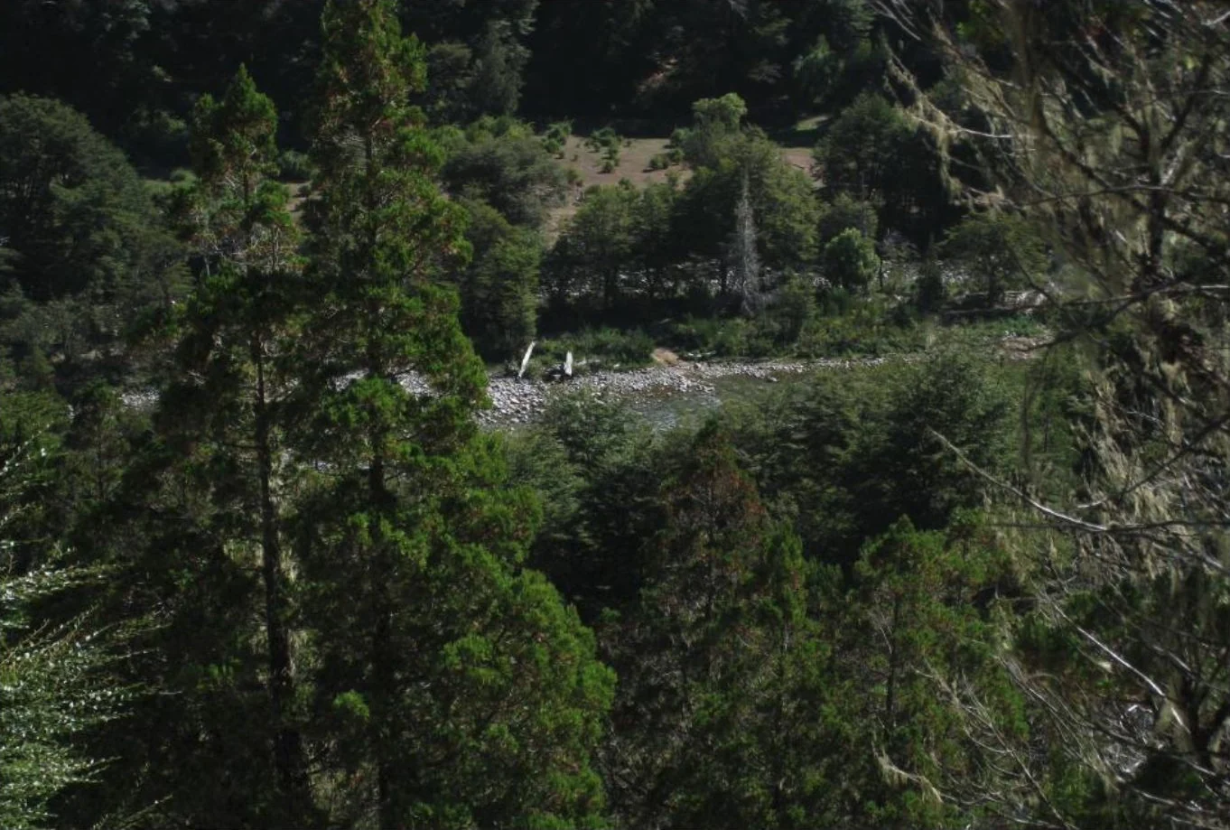 El Río Azul entre orillas de piedra y bosque, visto desde el mirador